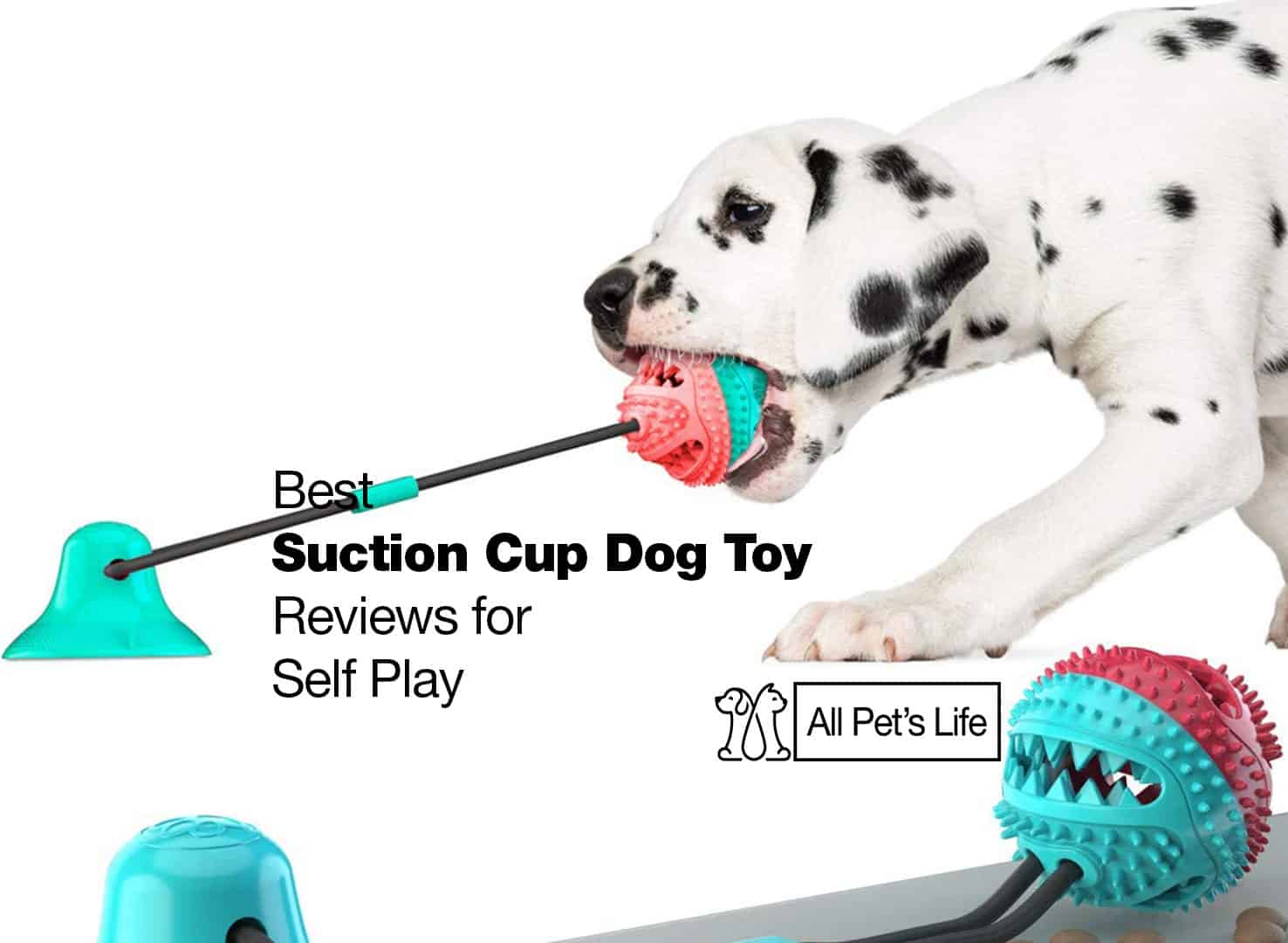 toy reviews
